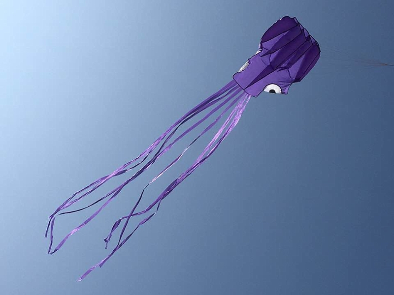 33038434_971888092986940_4226828000626212864_n.jpg