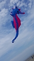 20180521_115425