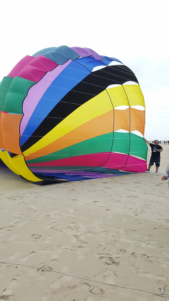 20190610_150115.jpg