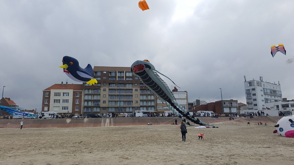 20190610_150149.jpg