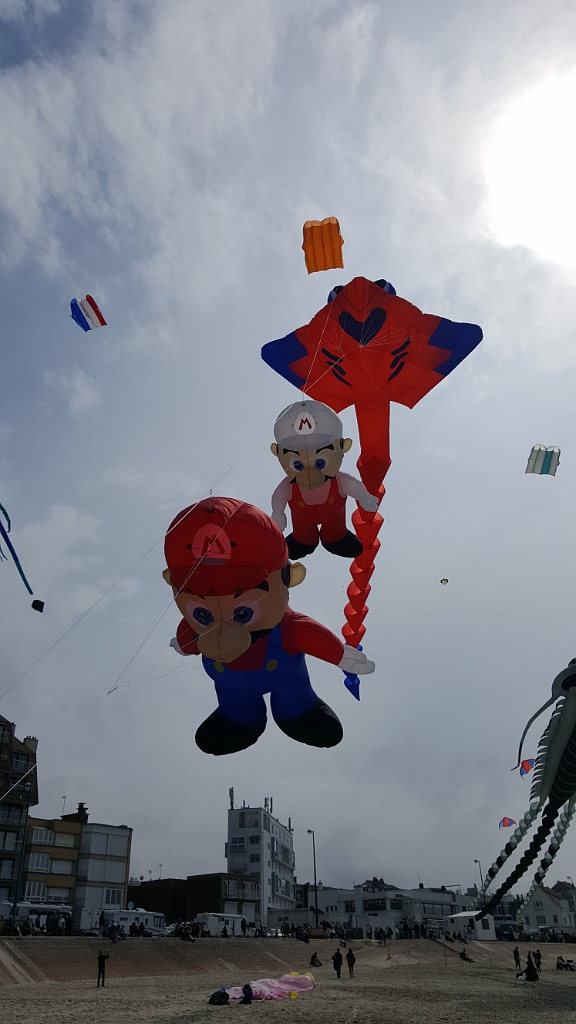 20190610_161429.jpg
