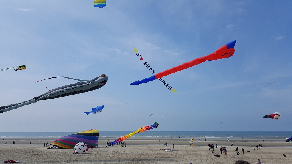 20190610_161626.jpg
