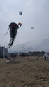 20190610_145352