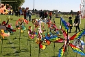 IMG_0111-BorderMaker