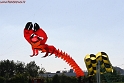 IMG_0202-BorderMaker