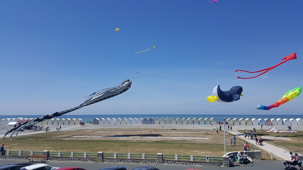 20190601_143907.jpg
