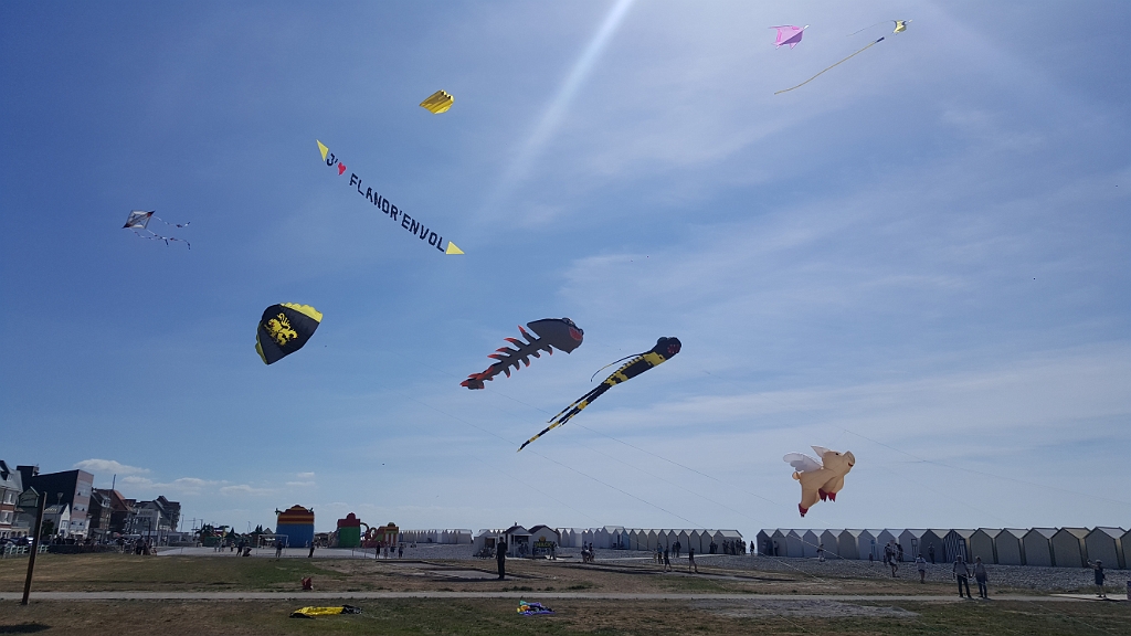 20190601_165903.jpg