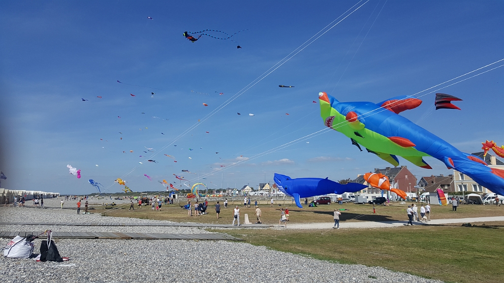 20190601_170414.jpg