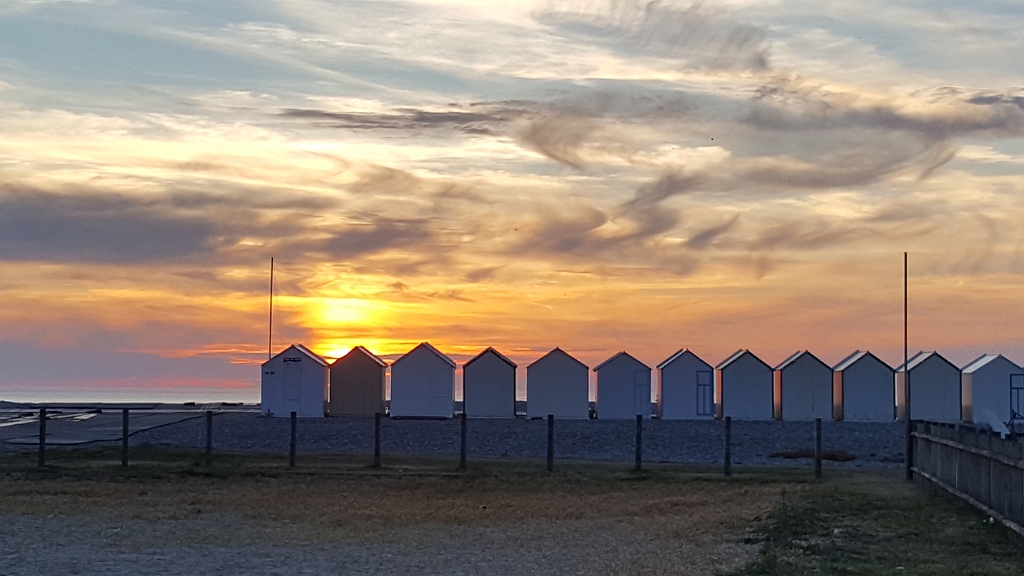 20190601_214935.jpg