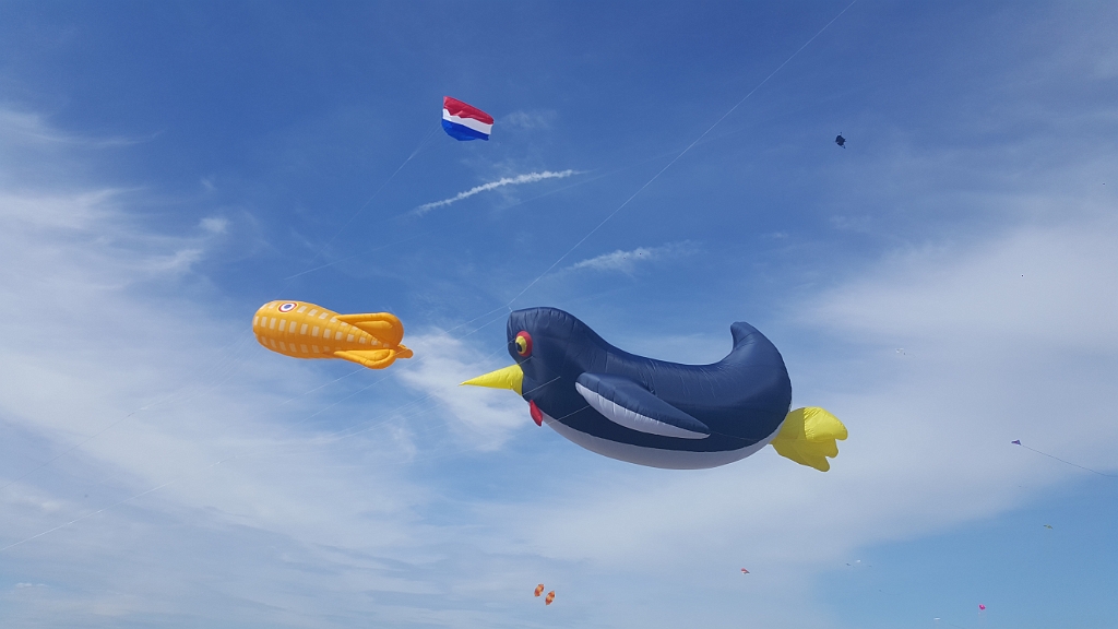 20190602_163205.jpg