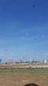 20190601_170011_001