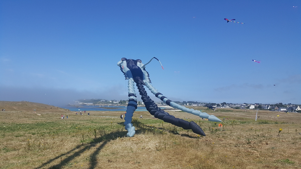 20180721_145644.jpg - IICSA���II
