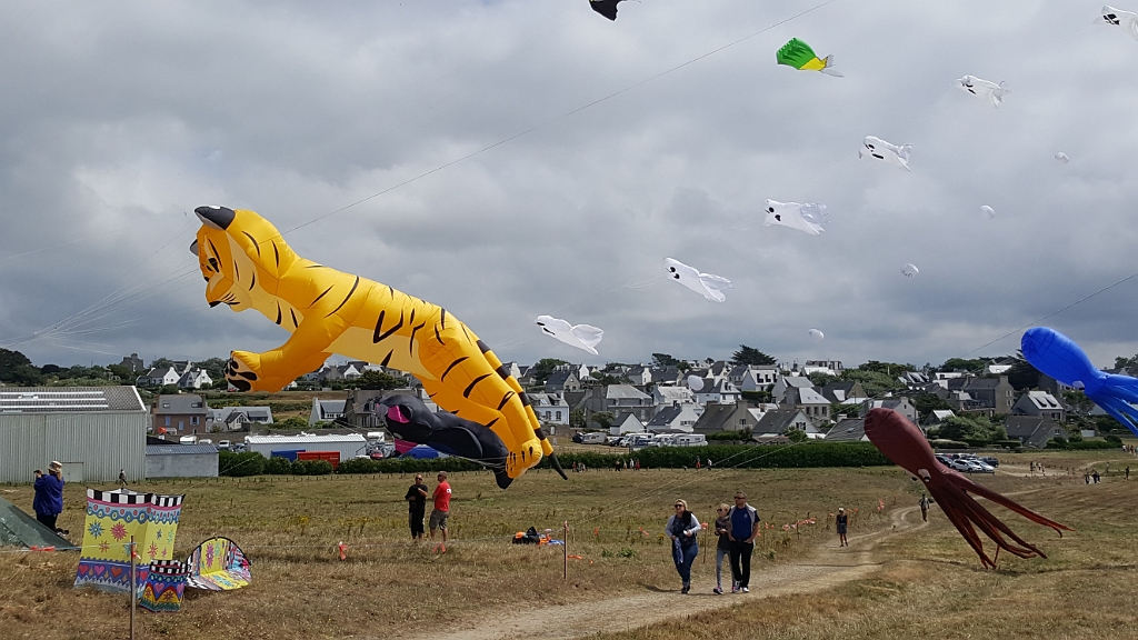 20180721_151542.jpg - IICSA