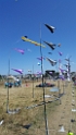 20180722_154638