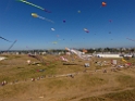 DJI_0049