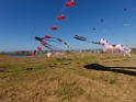 DJI_0050