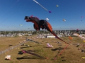 DJI_0056