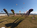DJI_0059