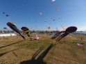 DJI_0060