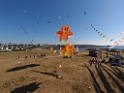 DJI_0061