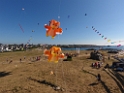 DJI_0062
