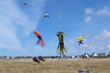 100_5829