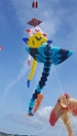 20190721_140209
