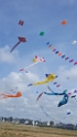 20190721_140320_001