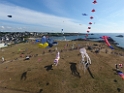 DJI_0061