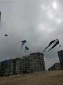 20150614_114904-BorderMaker