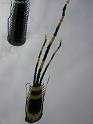 20150614_121315-BorderMaker