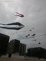 20150614_121327-BorderMaker
